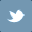 Social Icon 5